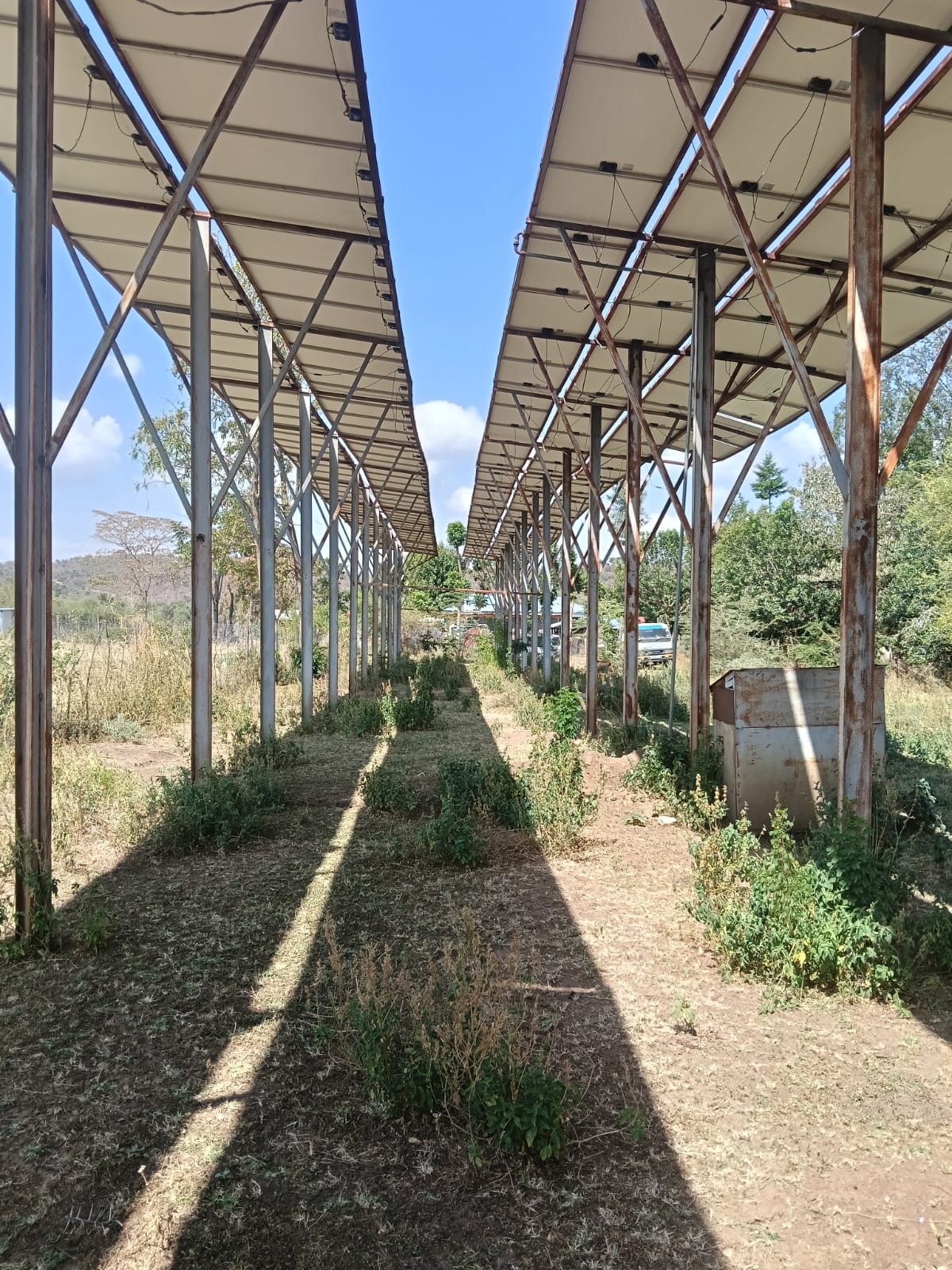 Solar Pump Solarization